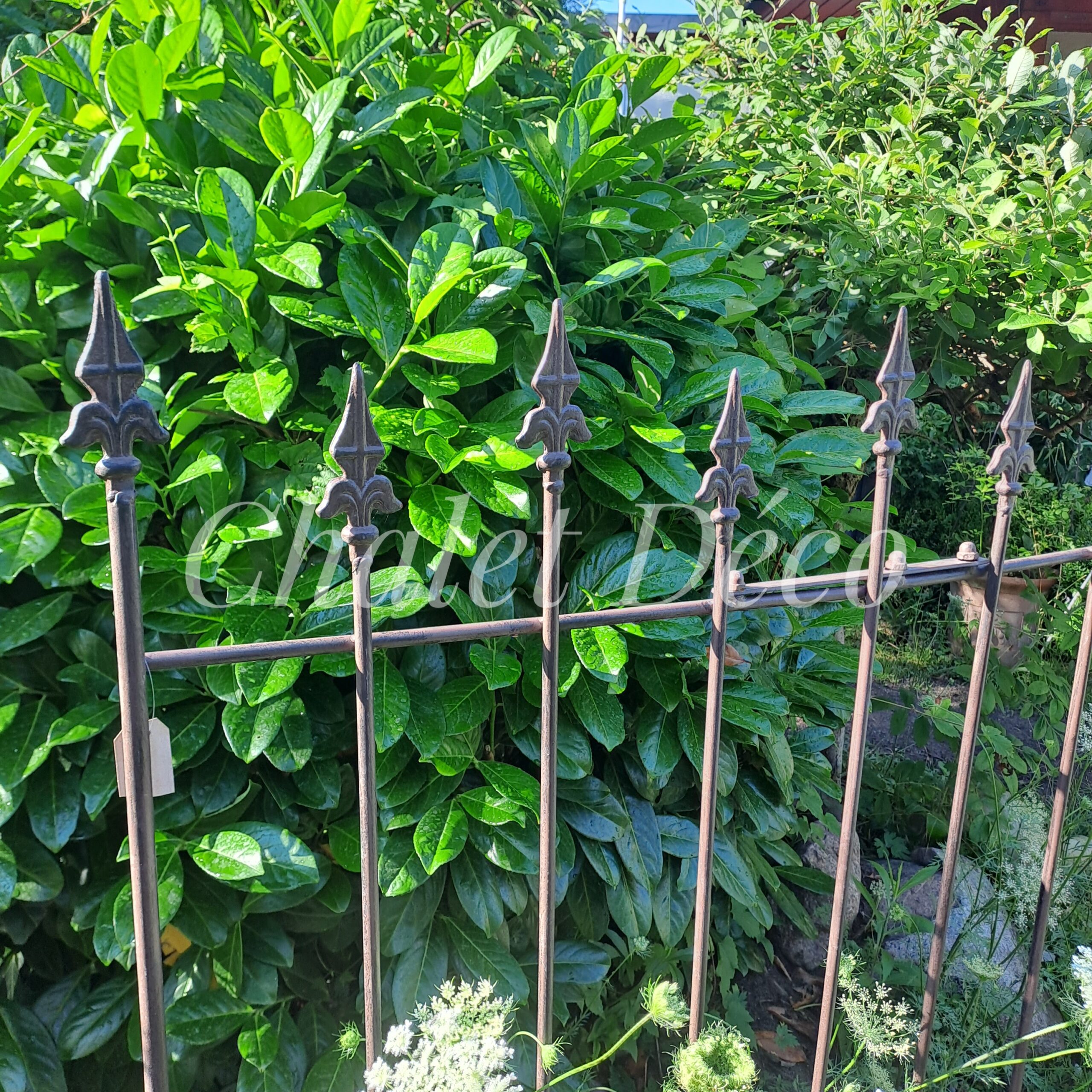 Rankgitter aus Eisen – Bild 5
