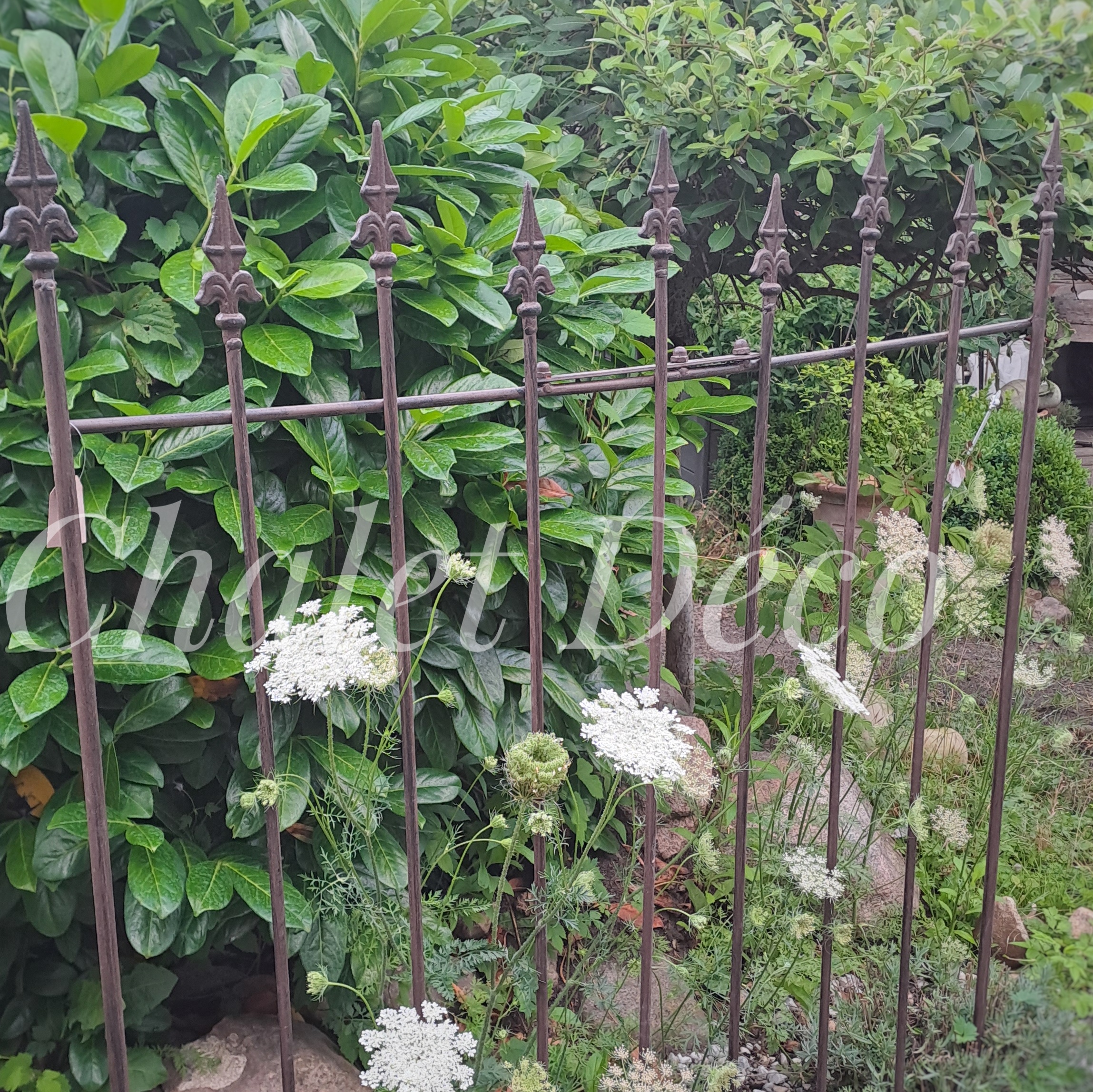Dekoratives Rankgitter aus dunkelrostfarben patiniertem Eisen vor grüner Gartenbepflanzung.